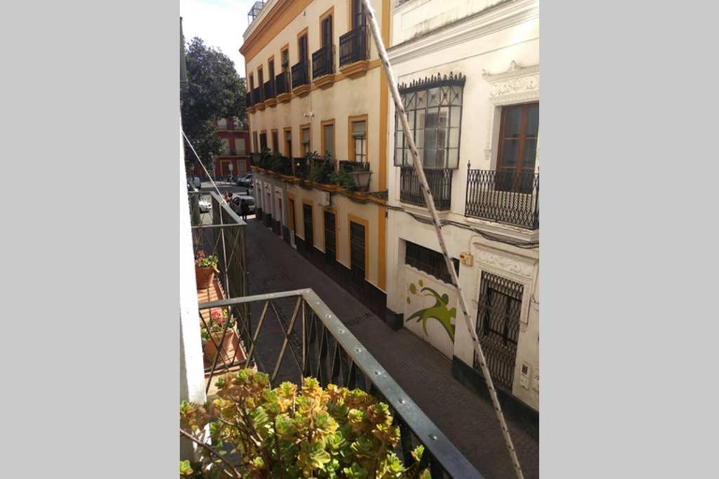 Apartamento Centro Encarnacion 1º D Sevilla Dış mekan fotoğraf